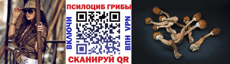 Купить Усолье Галлюциногенные грибы мицелий
